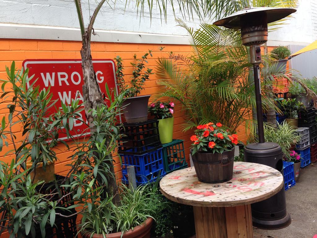 Zing Backpackers Hostel Sydney Luaran gambar